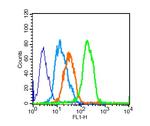 CD8 Antibody in Flow Cytometry (Flow)