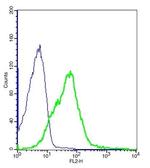 CD83 Antibody in Flow Cytometry (Flow)