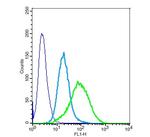 CD24 Antibody in Flow Cytometry (Flow)