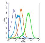 IGF1R Antibody in Flow Cytometry (Flow)