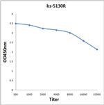 KAT2B Antibody in ELISA (ELISA)