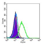 Phospho-Bad (Ser118) Antibody in Flow Cytometry (Flow)