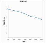 Phospho-Wee1 (Ser123) Antibody in ELISA (ELISA)