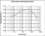 HDAC1 Antibody in ELISA (ELISA)