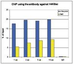 H4K8ac Antibody in ChIP Assay (ChIP)