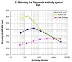 PML Antibody in ELISA (ELISA)