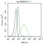 Phospho-IL-7Ra (Tyr449) Antibody in Flow Cytometry (Flow)