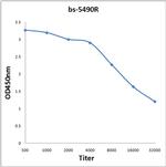Phospho-Ron (Tyr1238) Antibody in ELISA (ELISA)