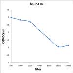 Phospho-IKB epsilon (Ser157) Antibody in ELISA (ELISA)