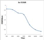 TRAK1 Antibody in ELISA (ELISA)