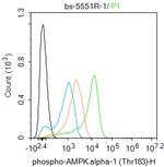 Phospho-AMPK alpha-1 (Thr198) Antibody in Flow Cytometry (Flow)
