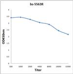 Phospho-PRKD1 (Tyr463) Antibody in ELISA (ELISA)