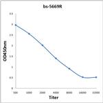 Phospho-RPS6KB1 (Thr412) Antibody in ELISA (ELISA)