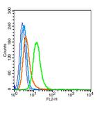 Integrin Alpha V + Beta 6 Antibody in Flow Cytometry (Flow)