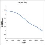 MAS1L Antibody in ELISA (ELISA)