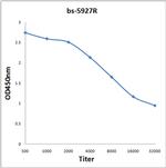 ANP32C Antibody in ELISA (ELISA)