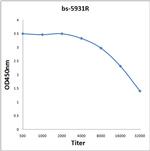 DCUN1D2 Antibody in ELISA (ELISA)