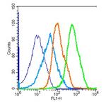 SIRT7 Antibody in Flow Cytometry (Flow)