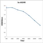CA10 Antibody in ELISA (ELISA)