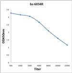 CPA1 Antibody in ELISA (ELISA)