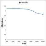 Carboxypeptidase A2 Antibody in ELISA (ELISA)
