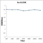 Phospho-p95 NBS1 (Ser343) Antibody in ELISA (ELISA)