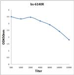 KMT8 Antibody in ELISA (ELISA)