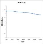 ARK5 Antibody in ELISA (ELISA)