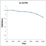 ENPP2 Antibody in ELISA (ELISA)