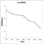 MRGPRX1/3/4 Antibody in ELISA (ELISA)