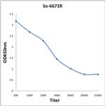 KCND1 Antibody in ELISA (ELISA)