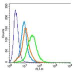 KCNK3 Antibody in Immunocytochemistry (ICC/IF)