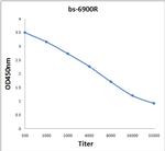 BOD1 Antibody in ELISA (ELISA)