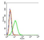 Neutrophil Elastase Antibody in Flow Cytometry (Flow)