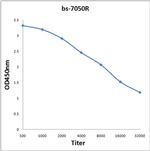 CMG1 Antibody in ELISA (ELISA)