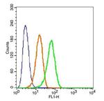 beta Defensin 3 Antibody in Flow Cytometry (Flow)