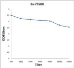 MC3 Receptor Antibody in ELISA (ELISA)