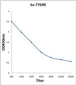 SEPT1 Antibody in ELISA (ELISA)