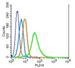 CDC123 Antibody in Flow Cytometry (Flow)