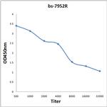 ADCK2 Antibody in ELISA (ELISA)