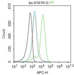 G protein beta subunit like Antibody in Flow Cytometry (Flow)