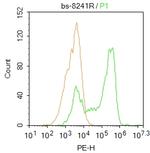 CTDSPL Antibody in Flow Cytometry (Flow)