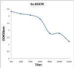 SUMO-1 Antibody in ELISA (ELISA)