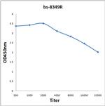 Ube2G2 Antibody in ELISA (ELISA)