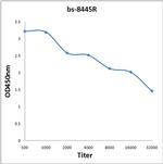 Phospho-Cdc25B (Ser149) Antibody in ELISA (ELISA)