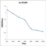 SPP24 Antibody in ELISA (ELISA)