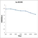 IGF2BP2 Antibody in ELISA (ELISA)