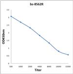 MLLT11 Antibody in ELISA (ELISA)