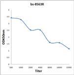 KIAA1522 Antibody in ELISA (ELISA)