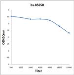 RENT1/hUPF1 Antibody in ELISA (ELISA)
